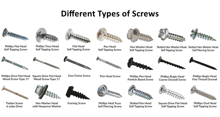 screws types