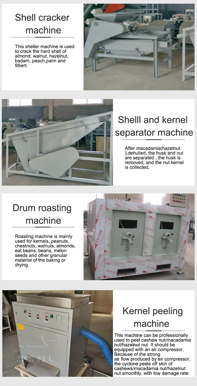 Nut Hazelnut Cracking Shelling Drying Machine Macadamia Processing Plant manufacture