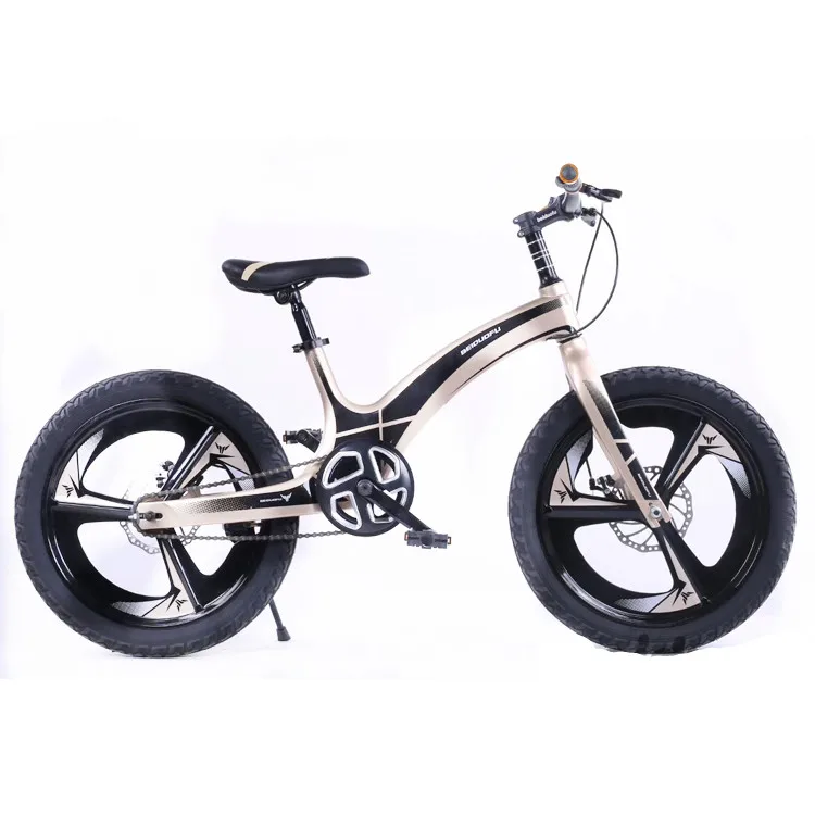 20 inch cycle price