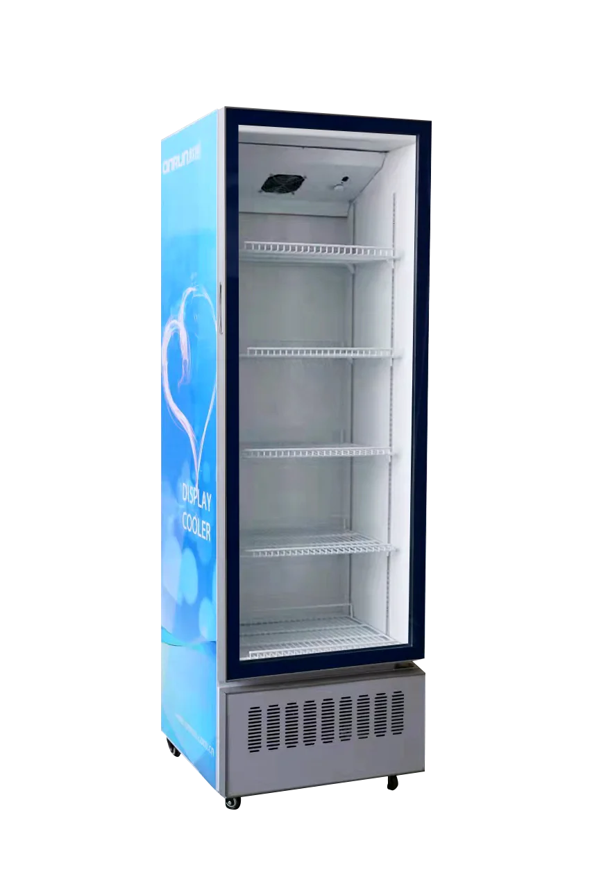 Aluminum Glass Goor Refrigerator, Electric - detail 8
