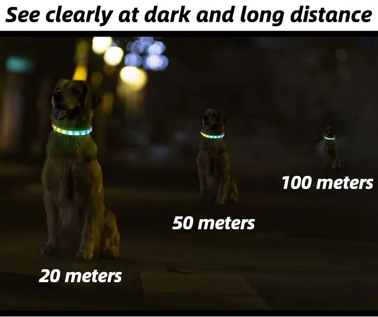 Best Seller Cut Any Length Usb Luminous Safety Collar Night glow Rechargeable Led Light Up Dog Pet Collar