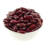 Beans Hot Selling Dark Red Kidney Beans With Export Price