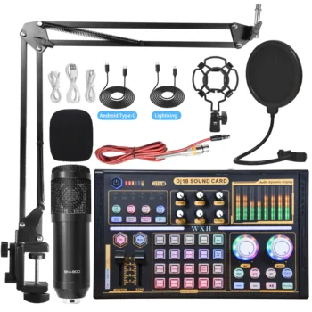 Weisre Home Recording Studio Usb Microphone Audio Interface