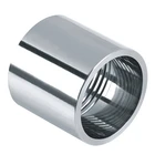 Steel Pipe Fitting Polished Stainless Steel Thread Nipple Pipe Fitting