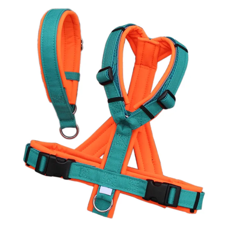 personalised harness