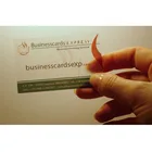 Card Free Hot Sale Modern Classic Forest Plastic PVC Business Card Free Design CMYK Printing Transaparent Business Card