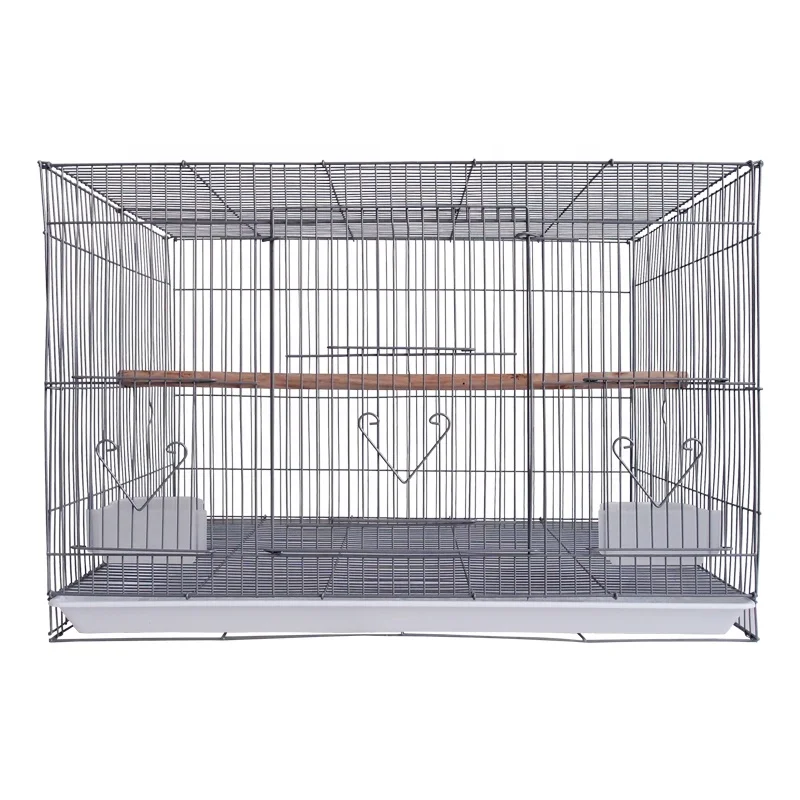 canary transport cage