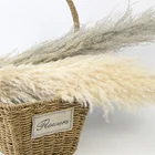 Flowers Cheap Decoration Tall Natural Dry Pampas Grass Dried Flowers Small