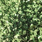 Textiles Wholesale Best Price Newly Style High Quality Sequins Fabrics Textiles Embroidery