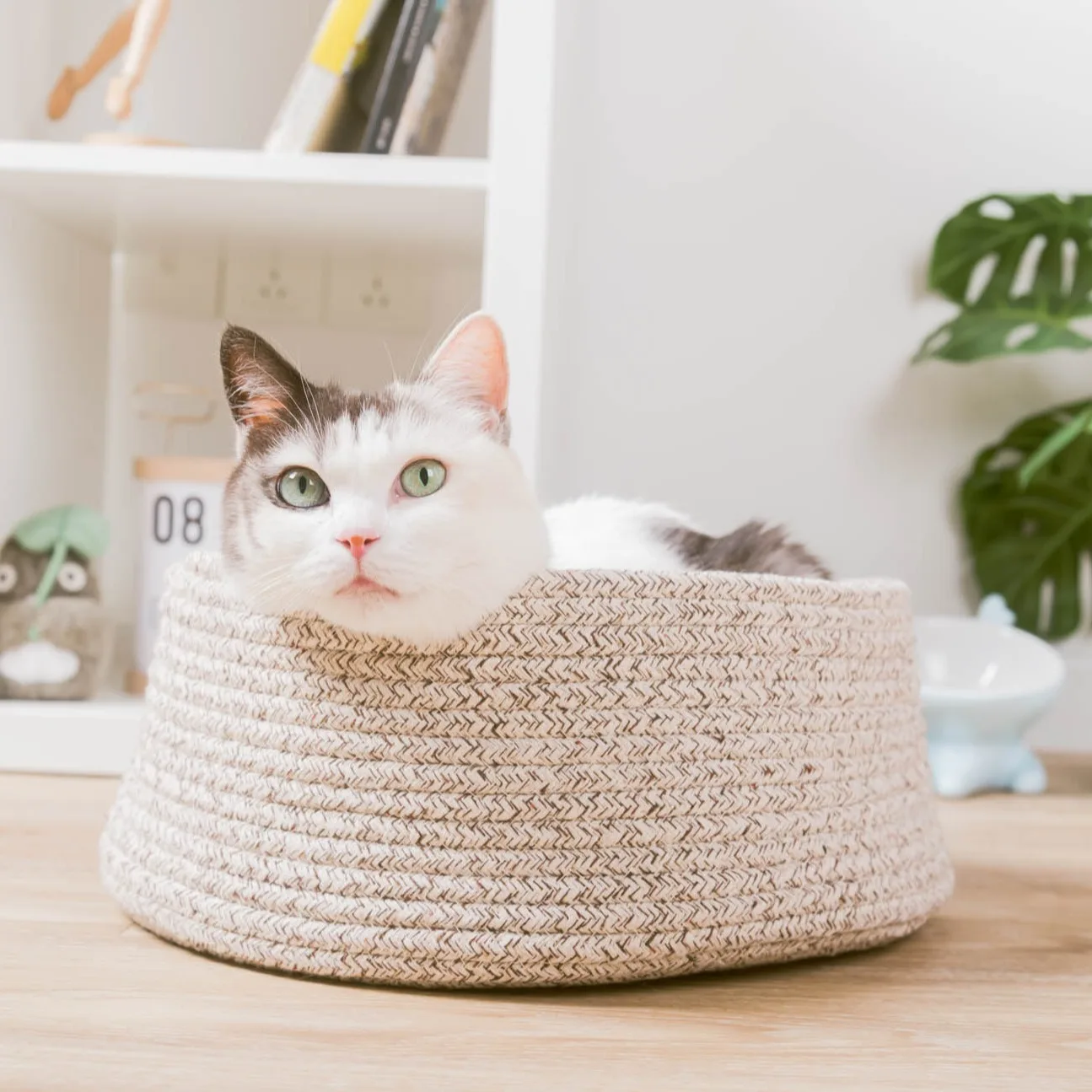 modern woven dogs and cats bed with cotton rope round cat basket