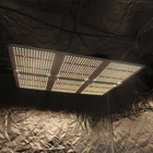 Quantum Light Light Led Grow Light STG-600W--QB Led Quantum IP67 600w Plant Grow Light