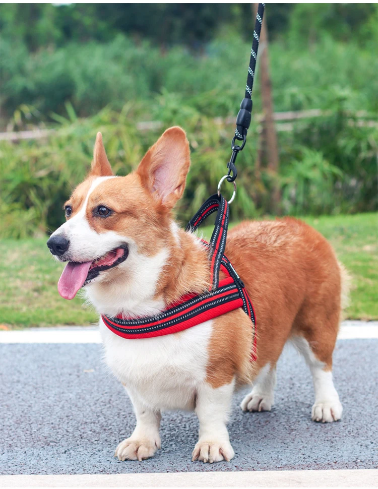 Soft Vest Neck Chest Adjustable Reflective Light weight Harness Anti-Twist Pet Lead Combo Dog Collar Leash And Harness Set