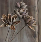 Floral Natural Style The Best Quality Lotus Flower Decorative Floral Picks For Home Decoration And Shooting Props