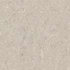 Gray Foshan Porcelain 60x60 Pure Gray Polished Interior Floor Tiles