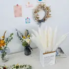 Flowers Plant Decor Small Dried Pampas For Sale Natural Decorative Flowers Wreaths Christmas