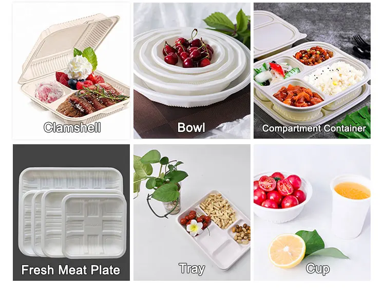 Biodegradable Cornstarch Meat Tray Fresh Fish Meat Chicken Fruit Eco