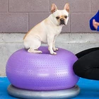 Pet Ball Gym Pet Dog Toys : Anti Burst Fitness Balance Inflatable PVC Donuts Gym Ball