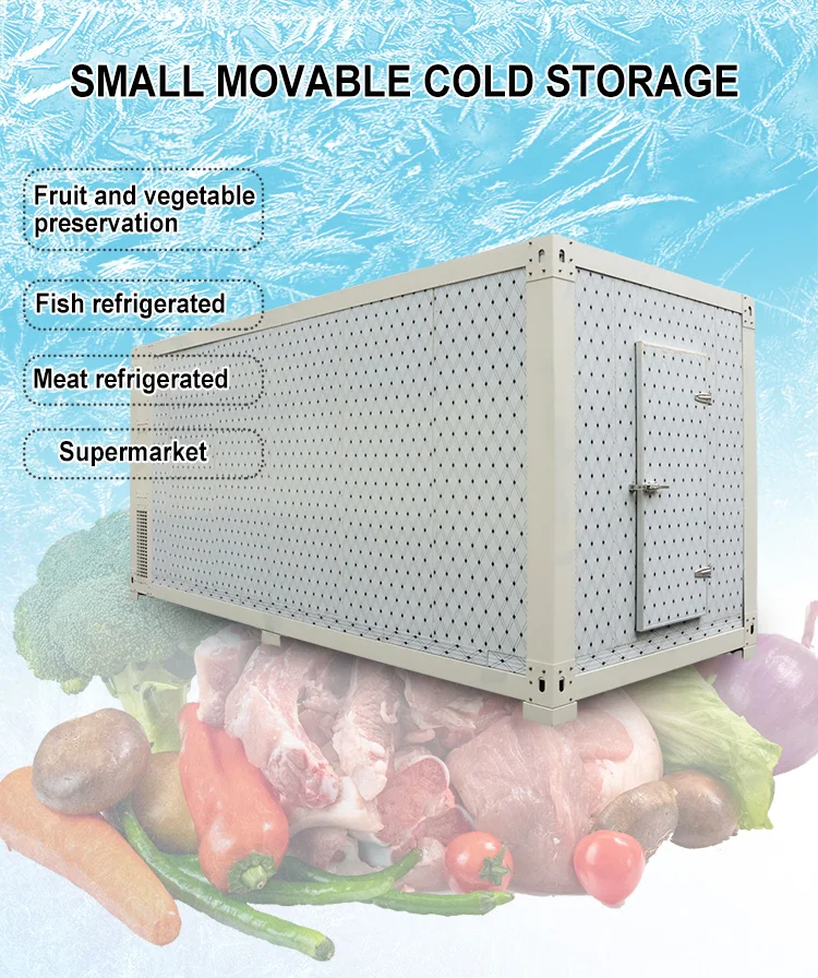 New Condition Thermoking Container Refrigerator Ft Ft Reefer