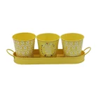 Metal Pot Metal Outdoor Garden Pot Metal Galvanized Herb Pot Planter Set With Tray For Indoor Garden Or Outdoor Use