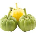 Herbal Extract Pure Natural Garcinia Combogia Powder Garcinia Combogia Extract Herbal Extract