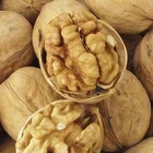 Nuts Hot Sale Wholesale Dried Walnuts Nuts In Shell