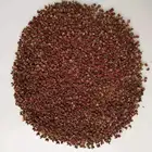 Pepper Red Pepperredpepperpepper Spice Pepper Pepper Spices And Herbs Natural Dried Pepper Red