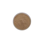 Chrysanthemum ISO9001certificate Chrysanthemum Extract 10:1 Chrysanthemum Flower Extract