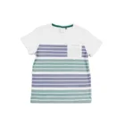 Boy New Stripe Printed Boy 100% Cotton SJ Short Sleeve Summer Kids Boy T-Shirt
