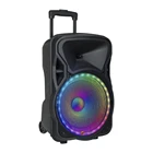 Haut-parleur De Chariot Lights Cheap New 12" Multifunction Rechargeable Portable Usb Trolley Speakers