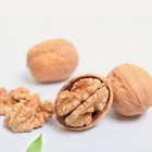 Nuts China Xinjiang Raw Thin Skinned Nuts Price Walnut Can Do Jujube Walnut