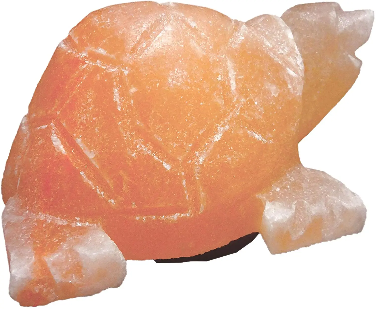 turtle himalayan salt lamp