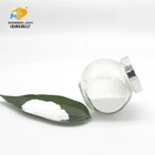 Powdered Probiotics 100 Billion CFU Bifidobacterium Adolescentis Lactic Acid Pure Probiotics Powder