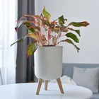 Plant Pot Manufacturer Cheap Lazy Flower Plant Self Watering Flower Pot Flowerpots Plastic
