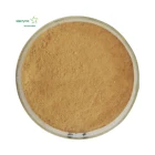 Bacteria High Bacteria Colony Bacillus Amyloliquefaciens Feed Grade Probiotics