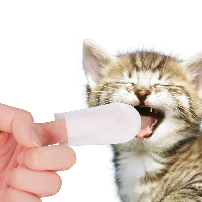 Can I Clean My Dogs Ears With Baby Wipes