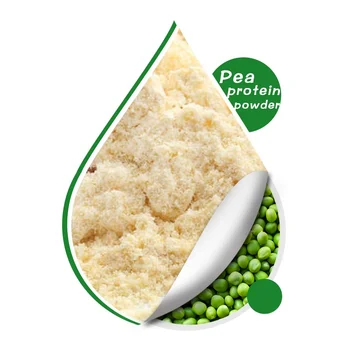 ISO Certificate Bulk Pea Protein powder 20kg/bag Best Price Hydrolyze Instant Organic Green Pea Protein powder 80% 85%