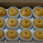 Pear Pear Asian Fresh Singo Pear Organic Korea Pear Sweet And Moisture High Quality Pear From China