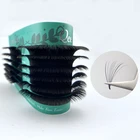 Eyelash Extensions Eyelash Extensions Qeelasee Fast Easy Fanning Rapid Blooming Volume Eyelash Extensions