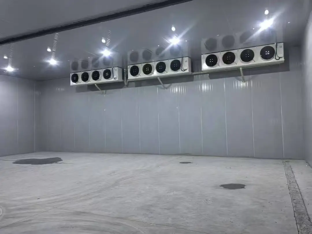 Freezer, 220V, 2 ton - detail 22