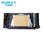 Dx5 Printhead AUDLEY ECO SOLVENT UNLOCKED DX5 PRINTHEAD F186000