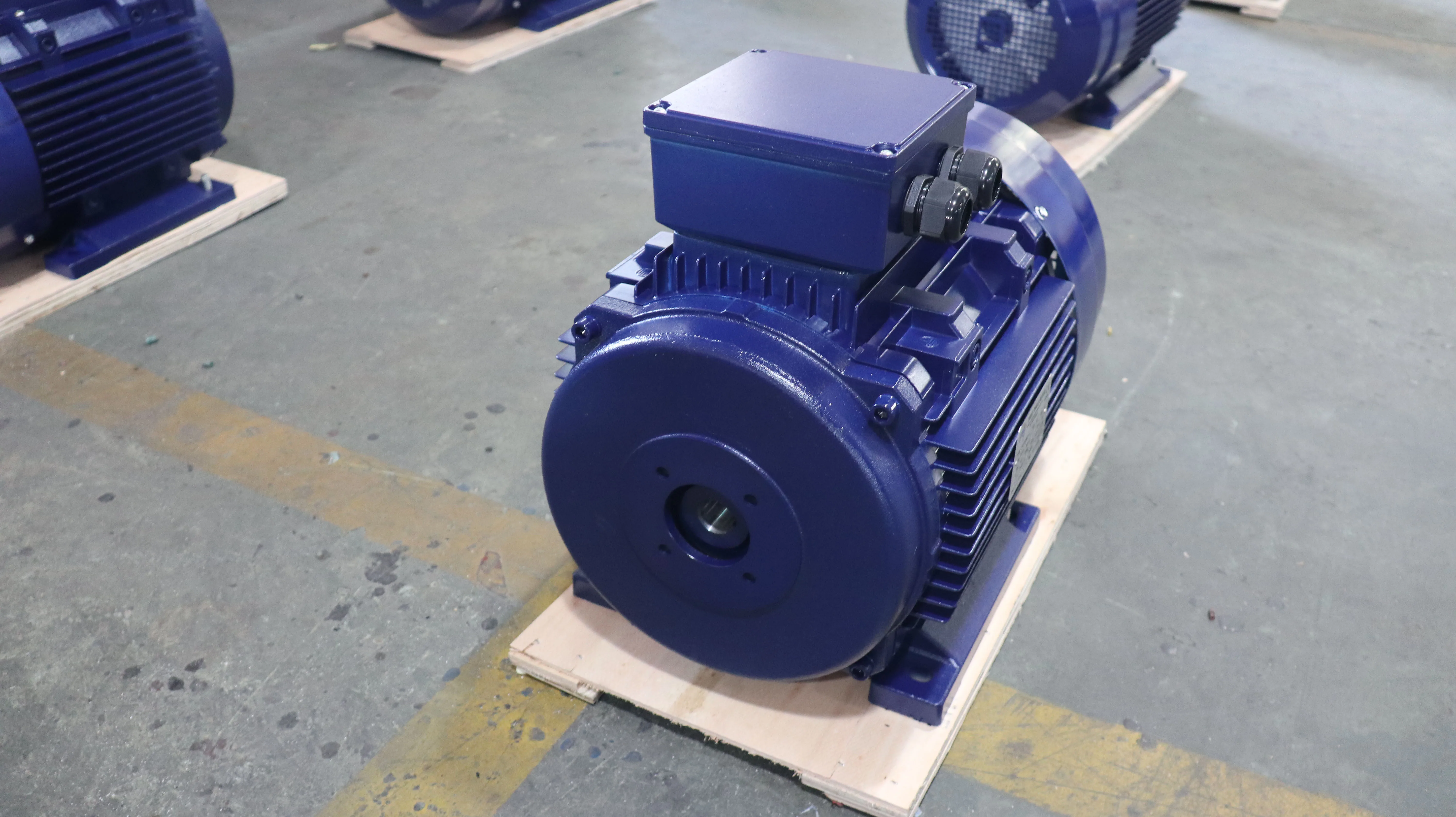 30HP 22KW AC Electric Induction Motors 24mm Hollow Shaft 1000rpm Three-Phase 50Hz Frequency 380V AC Aluminium 60Hz Enclosed 0