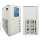 Chiller Chiller Factory Shanghai Linbel Lab 4L Mini Recirculating Chiller