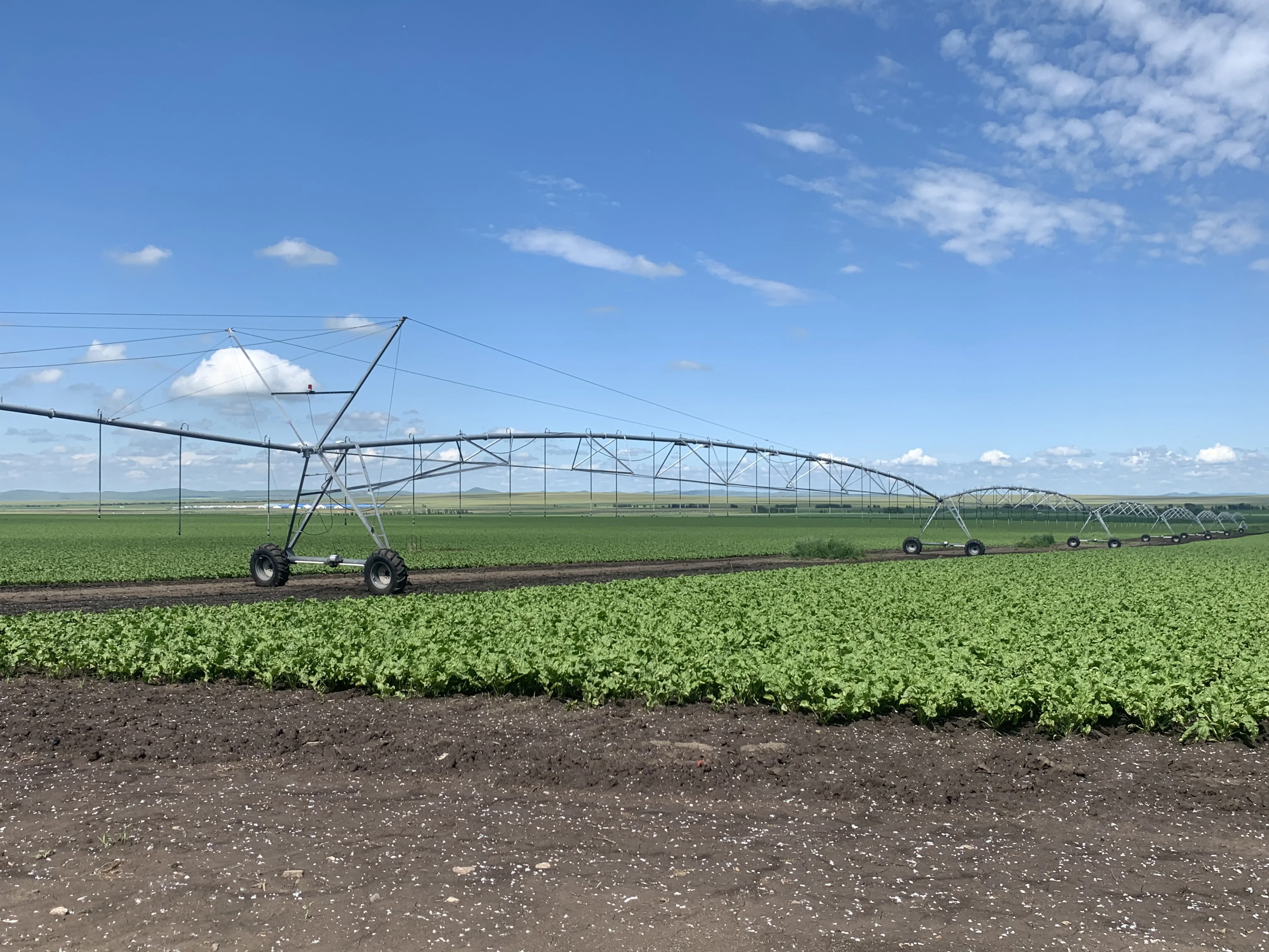 rotate linears move irrigation system-6
