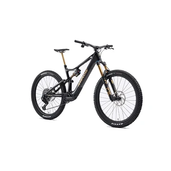 Amflow PL Carbon E-Mountain Bike With DJI Avinox Drive System Built-in LED Control Display DJI Amflow PL Ebike