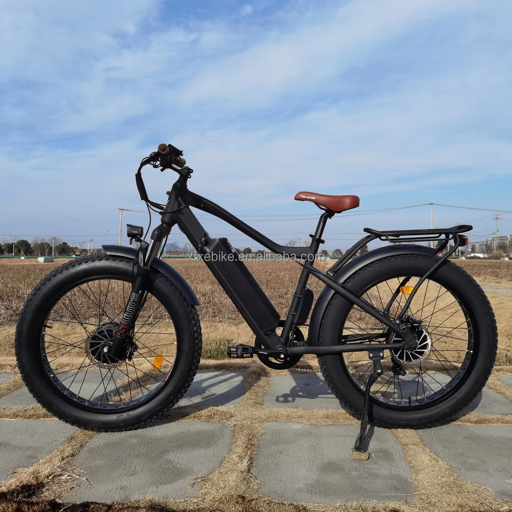 Strong Power Inch Dual Motor Ebike Ah Battery Electric Fat Bike