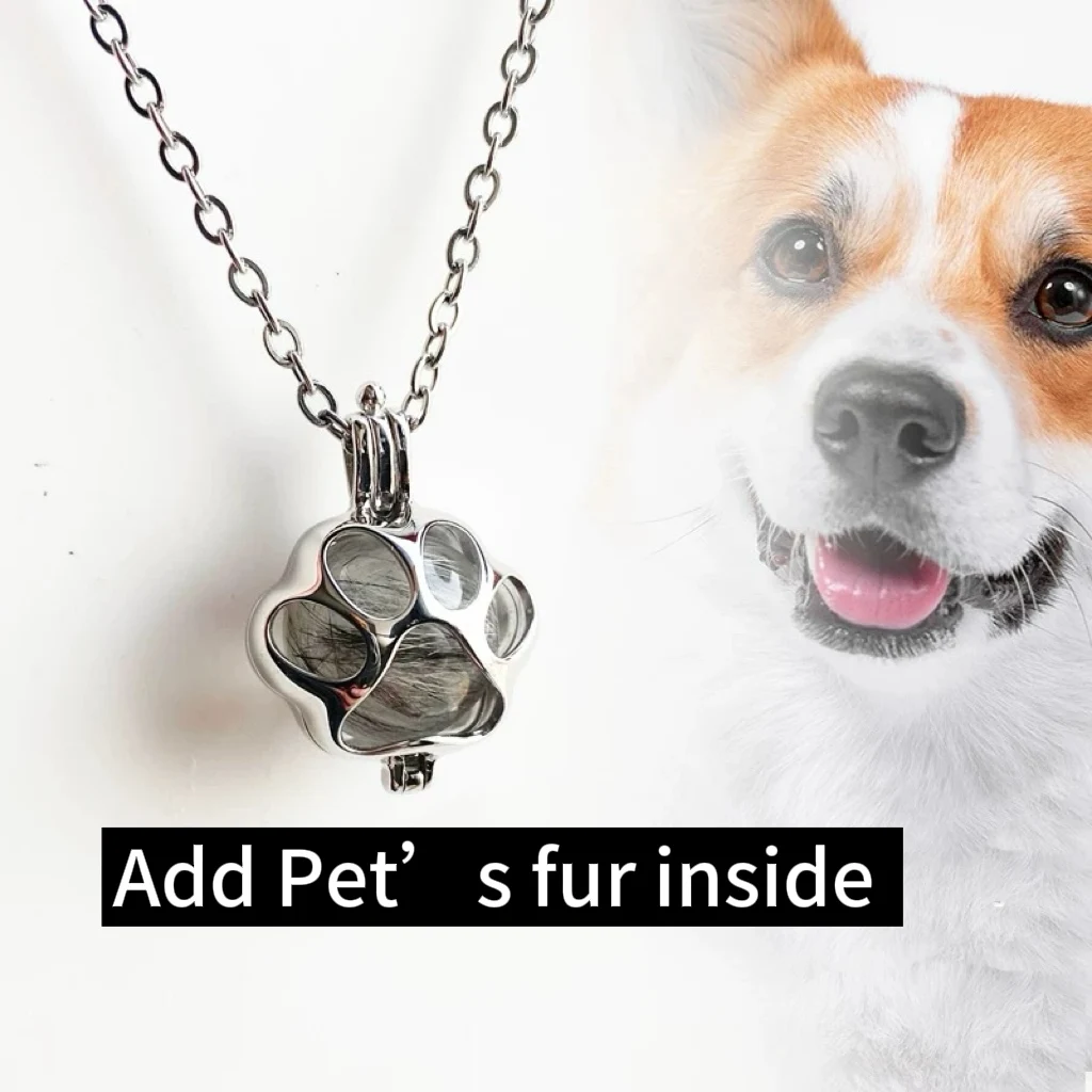 Top 10 Tips for Personalized Pet Jewelry: Elevate Your Pet's Style with Unique Accessorizing