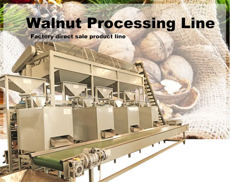 Cashew/Macadamia Nut Shelling Color Sorter Processing Machine Macadamia Nut Cracker manufacture