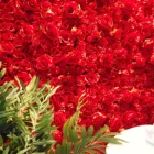 Red Rose Wedding Wedding Flowers And Roses Hot Selling Red Color Rose Flower Wall Backdrop Wedding Backdrop Panel
