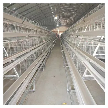 A Type 3 tiers 96 birds / 4 tiers 128 birds / H Type 4 tiers Layer Cage for Hens Heavy Zinc Coated Chicken Cage for Poultry Farm