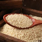 100% Best Quality Best Grade Hulled Sesame Seeds Price